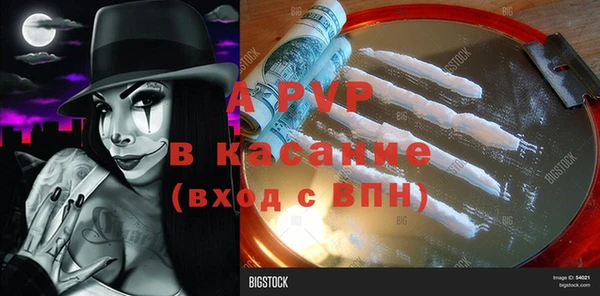 ПСИЛОЦИБИНОВЫЕ ГРИБЫ Протвино