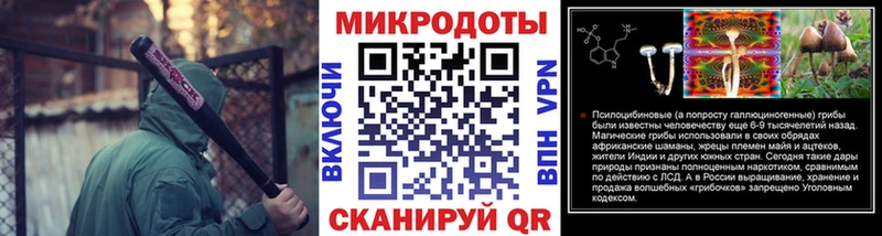 Галлюциногенные грибы Psilocybine cubensis  Северская 
