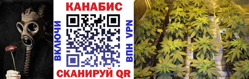 Бошки марихуана SATIVA & INDICA Северская